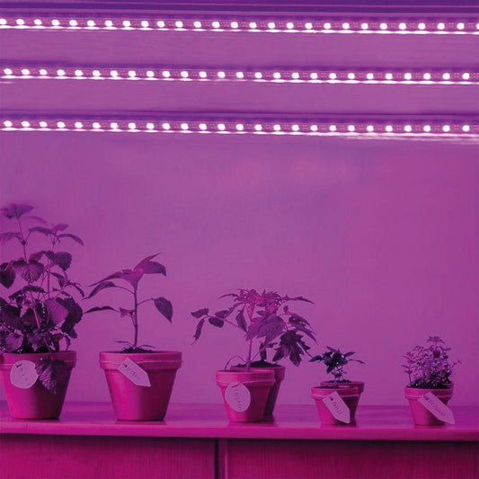 5м Світлодіодна фітолента для рослин від USB / LED стрічка для розсади / Фітострічка для вирощування рослин