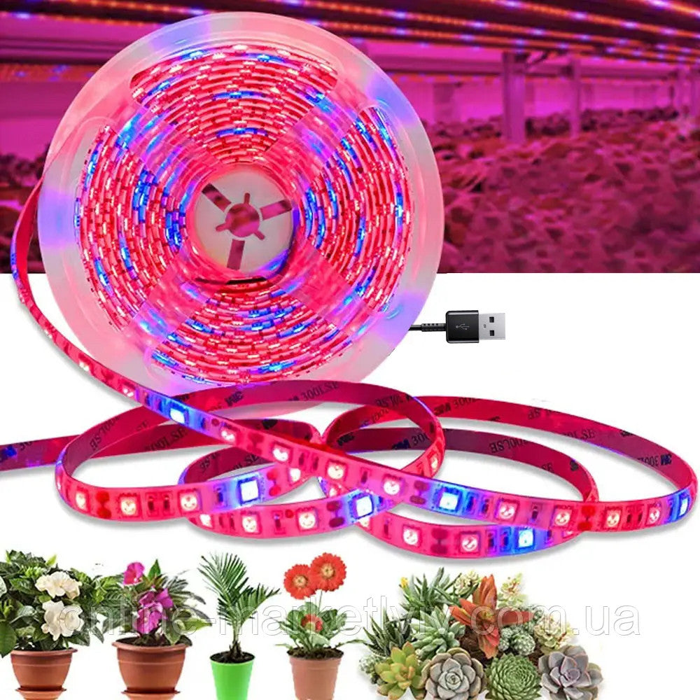 Світлодіодна фітострічка для USB, від мережі, Фіолетовий / LED стрічка для рослин / Фітострічка для розсади