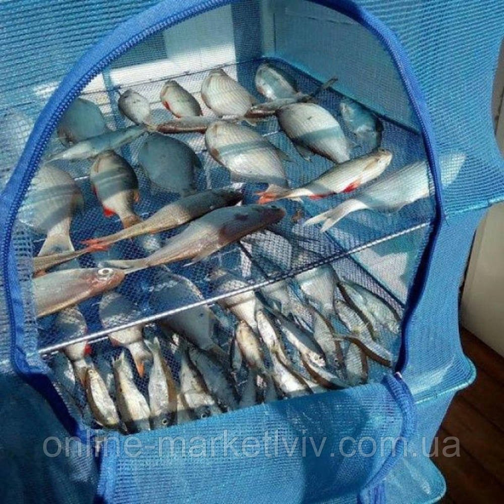 Сушарка для риби, грибів, сухофруктів, 3 полиці, 45х45х75см, Синя / Сітка для сушіння риби / Складна сітка сушарка