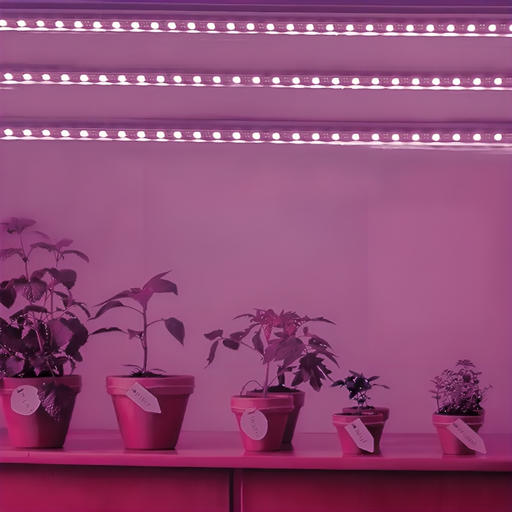 Світлодіодна фітострічка для USB, від мережі, Фіолетовий / LED стрічка для рослин / Фітострічка для розсади