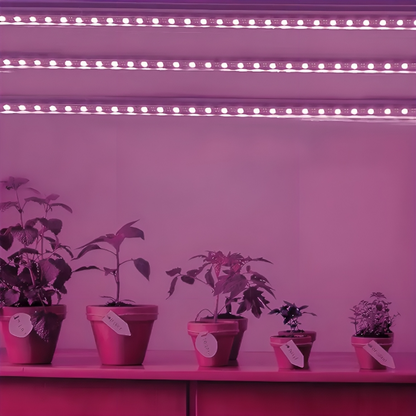 Світлодіодна фітострічка для USB, від мережі, Фіолетовий / LED стрічка для рослин / Фітострічка для розсади