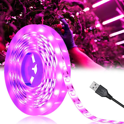 5м Світлодіодна фітострічка для рослин, від USB, Білий / Фітолента для розсади / LED стрічка для кімнатних рослин