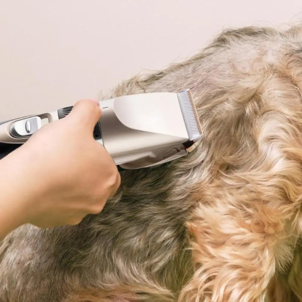 Машинка для стрижки тварин 8в1 Raf R-436, 5W / Професійний набір для грумінгу собак та котів