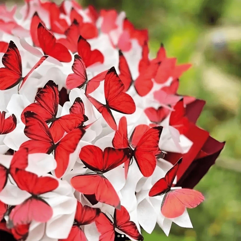 Букет з метеликів з підсвічуванням, від батарейок, Червоний / Букет з метеликами / Подарунок дівчині