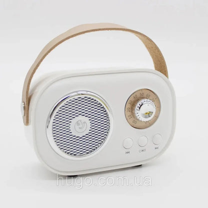 Портативна Bluetooth колонка для караоке з мікрофоном на акумуляторі, Біла / Акустична система для караоке