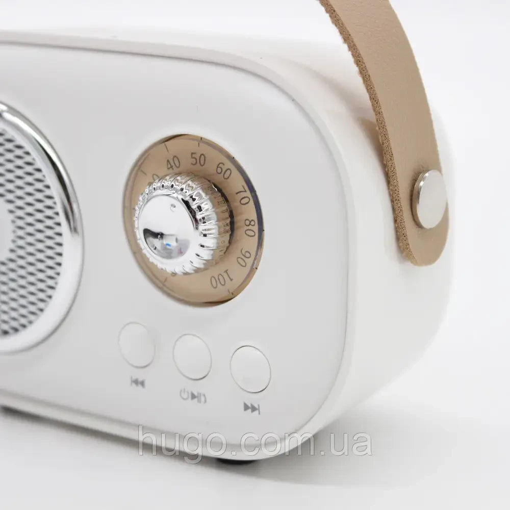 Портативна Bluetooth колонка для караоке з мікрофоном на акумуляторі, Біла / Акустична система для караоке