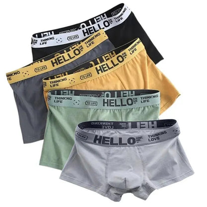 Набір чоловічих трусів, 5 шт, L / Нижня білизна для чоловіків / Чоловічі труси-боксери / Труси шорти