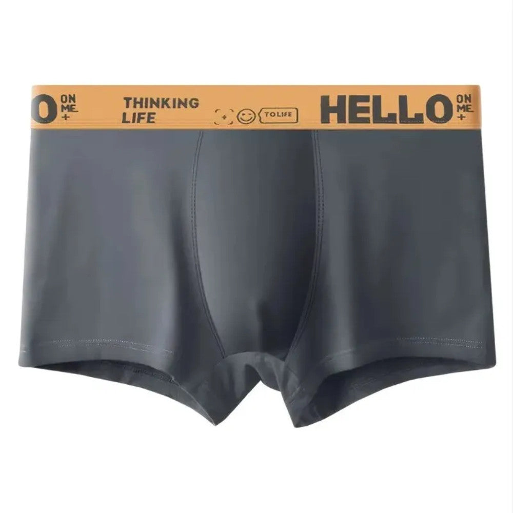 Набір чоловічих трусів, 5 шт, L / Нижня білизна для чоловіків / Чоловічі труси-боксери / Труси шорти