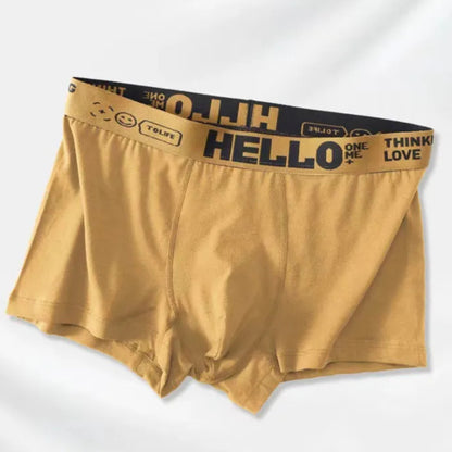 Набір чоловічих трусів, 5 шт, ХL / Нижня білизна для чоловіків / Чоловічі труси-боксери / Труси шорти