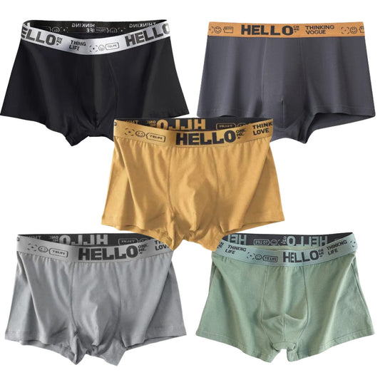 Набір чоловічих трусів, 5 шт, 2ХL / Нижня білизна для чоловіків / Чоловічі труси-боксери / Труси шорти