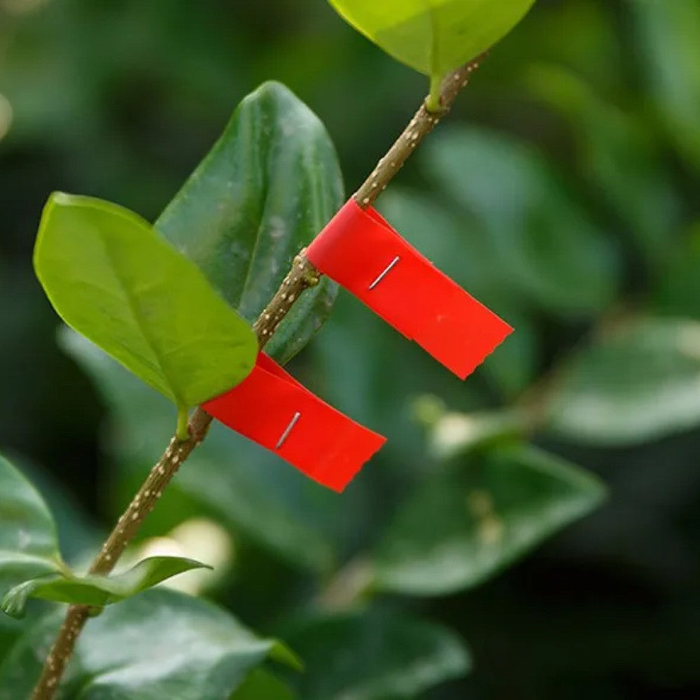 Скоби для підв'язувального степлера 10000 шт, 6х4 мм, 604С / Скоби для тапенера / Упаковка скоб для садового степлера