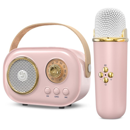 Портативна Bluetooth колонка для караоке з мікрофоном на акумуляторі / Акустична система для караоке