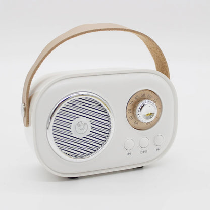 Портативна Bluetooth колонка для караоке з мікрофоном на акумуляторі, Біла / Акустична система для караоке