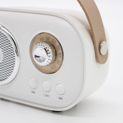 Портативна Bluetooth колонка для караоке з мікрофоном на акумуляторі, Біла / Акустична система для караоке