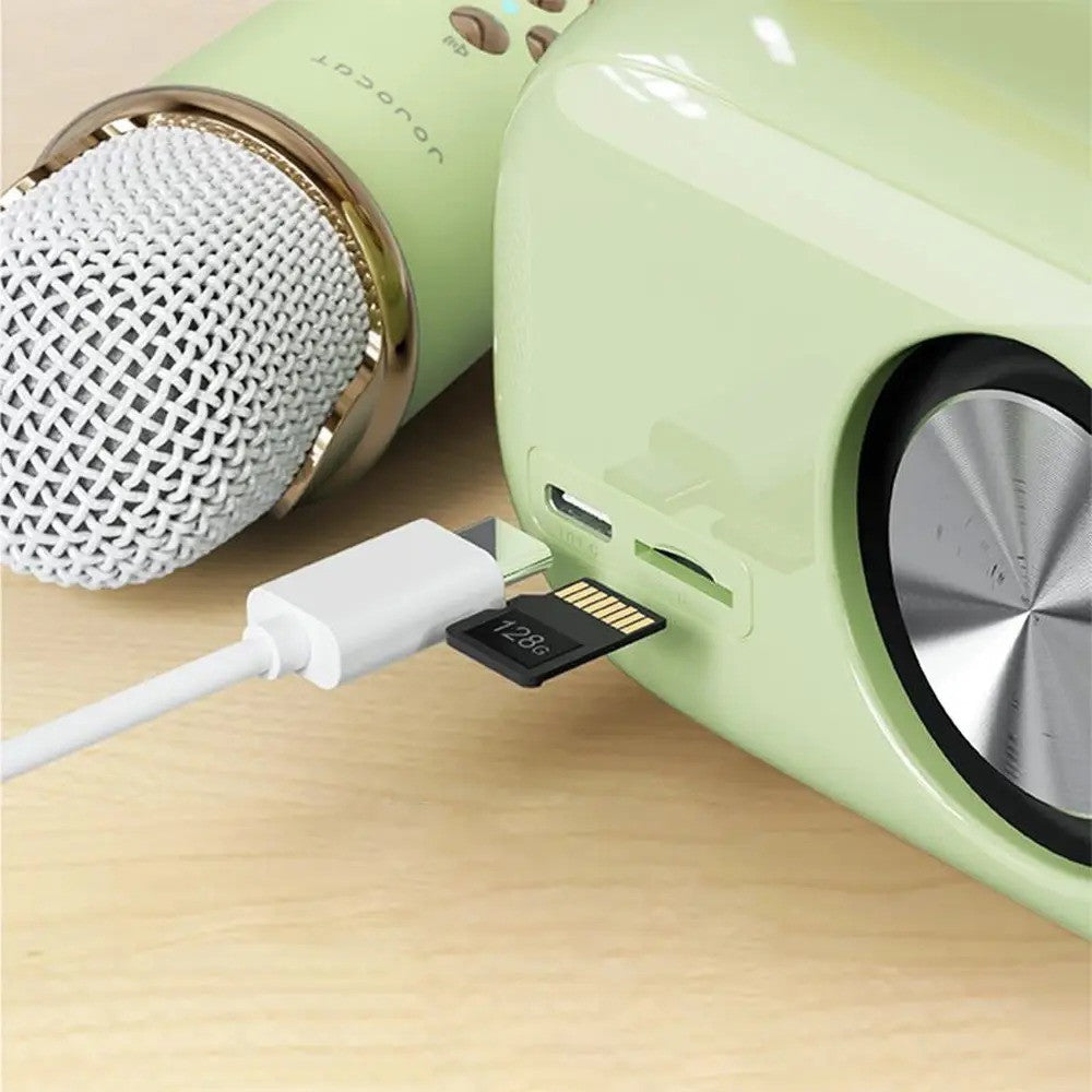 Портативна Bluetooth колонка для караоке з мікрофоном на акумуляторі, Зелена / Акустична система для караоке