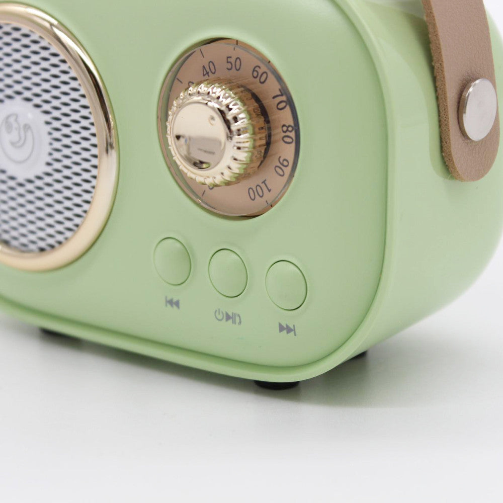 Портативна Bluetooth колонка для караоке з мікрофоном на акумуляторі, Зелена / Акустична система для караоке