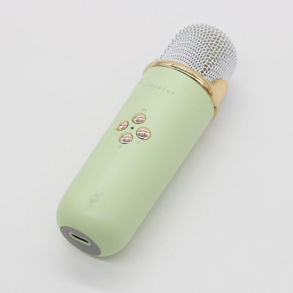 Портативна Bluetooth колонка для караоке з мікрофоном на акумуляторі, Зелена / Акустична система для караоке