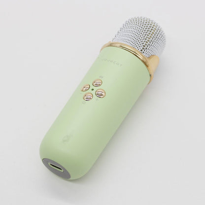 Портативна Bluetooth колонка для караоке з мікрофоном на акумуляторі, Зелена / Акустична система для караоке