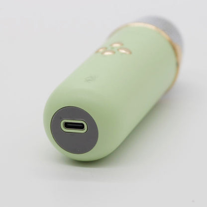 Портативна Bluetooth колонка для караоке з мікрофоном на акумуляторі, Зелена / Акустична система для караоке