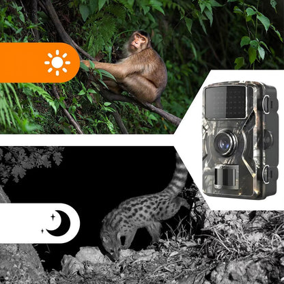 Фотопастка для тварин з датчиком руху 16Мп, від батарейок, DL-001 / Мисливська камера з нічним баченням