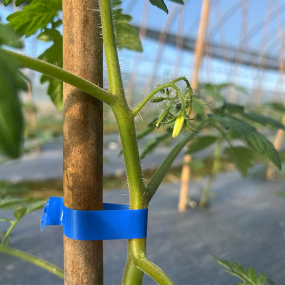 Стрічка для садового степлера 26м х 11мм, 1шт / Стрічка для підв'язки винограду / Стрічка для степлера