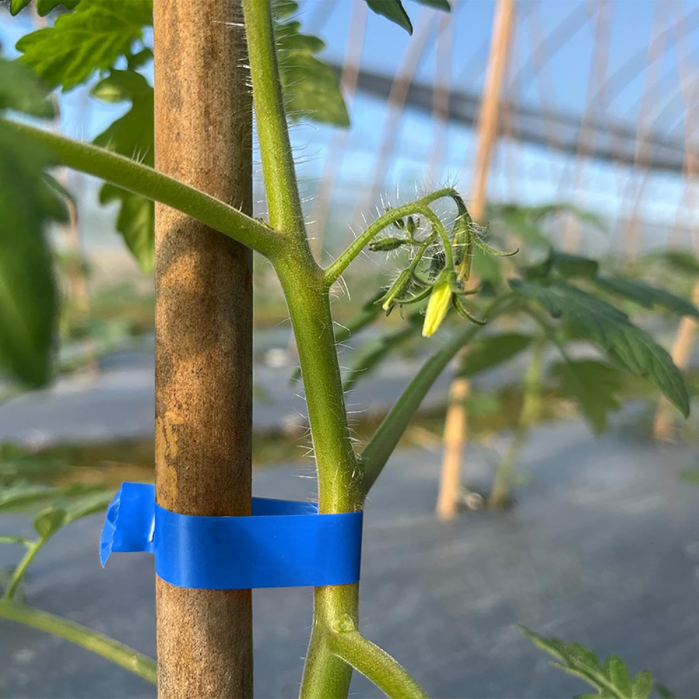 Стрічка для садового степлера 26м х 11мм, 1шт / Стрічка для підв'язки винограду / Стрічка для степлера