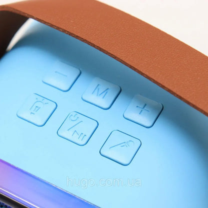 Портативна колонка-караоке з 2 мікрофонами К12, Блакитний / Бездротовий мікрофон з колонкою з підсвічуванням RGB