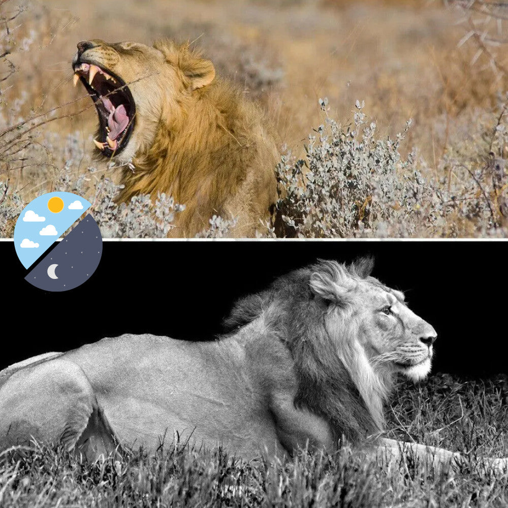 Фотопастка з датчиком руху та нічним баченням 32mpx / Мисливська камера для тварин / Камерапастка