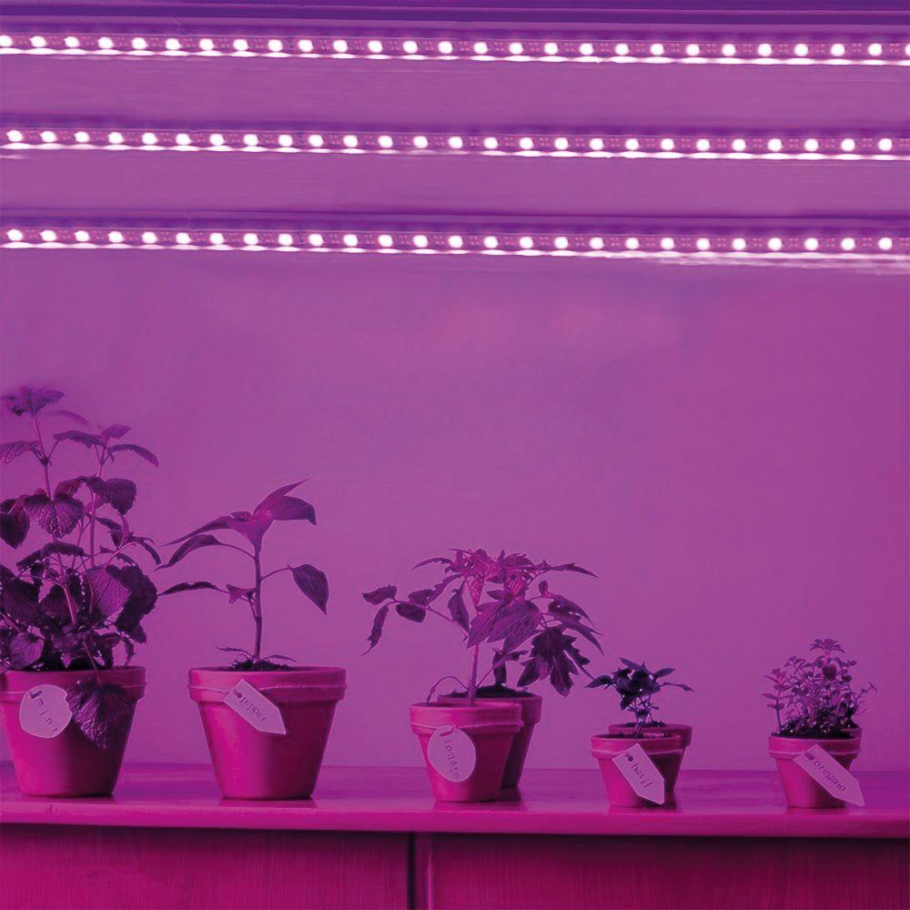 5м Світлодіодна фітолента для рослин від USB / LED стрічка для розсади / Фітострічка для вирощування рослин