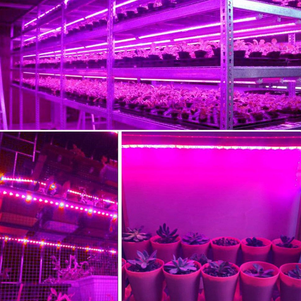5м Світлодіодна фітолента для рослин від USB / LED стрічка для розсади / Фітострічка для вирощування рослин