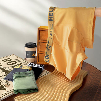 Набір чоловічих трусів, 5 шт, L / Нижня білизна для чоловіків / Чоловічі труси-боксери / Труси шорти