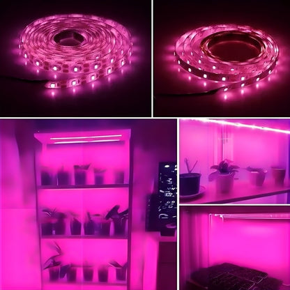 Світлодіодна фітострічка на USB, 5 м, Фіолетовий / LED стрічка для рослин / Фітострічка для розсади