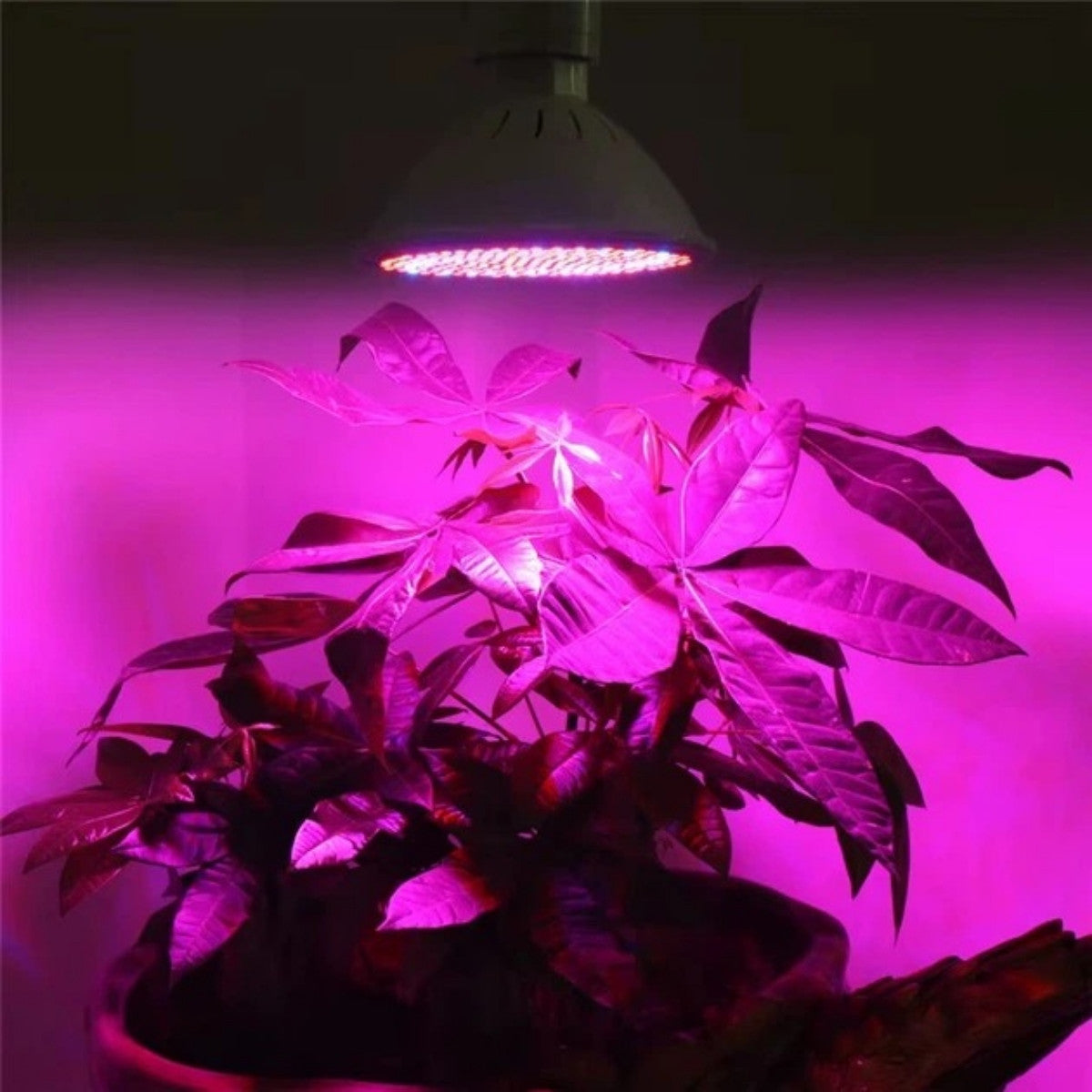Світлодіодна фітолампа для вирощування рослин E27, 200 LED, 20 Вт, Біла / LED Лампочка для рослин / Лампа на цоколі для рослин